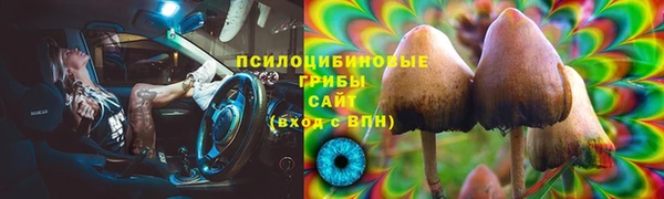 a pvp Алексин
