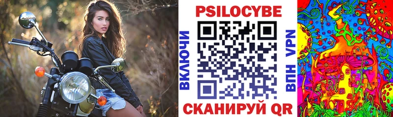 мега вход  Нытва  Псилоцибиновые грибы GOLDEN TEACHER 